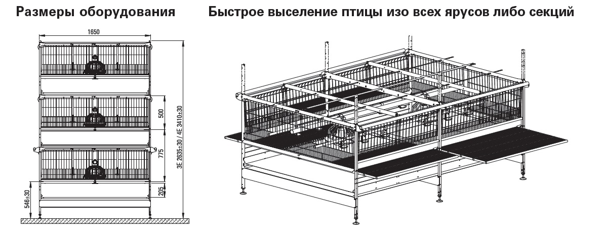 Клетка высота